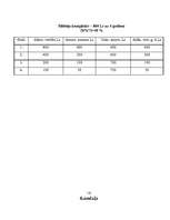 Biznesa plāns 'Biznesa plāns aromterapijas salonam', 16.