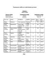 Biznesa plāns 'Biznesa plāns aromterapijas salonam', 17.