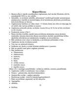 Biznesa plāns 'Biznesa plāns aromterapijas salonam', 22.