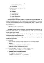 Prakses atskaite 'Prakses atskaite Valsts ieņēmuma dienestā', 33.