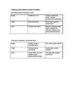 Konspekts 'Svētki mežā', 4.