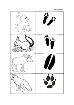 Konspekts 'Svētki mežā', 7.