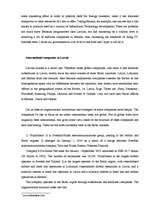 Konspekts 'Strategy, Organization and Global Firms', 3.