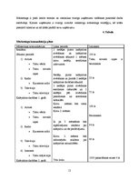 Biznesa plāns 'Kafejnīca', 12.