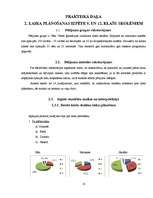 Referāts 'Cēsu Valsts ģimnāzijas izlaiduma klašu skolēnu laika plānošana', 13.