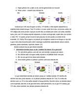 Referāts 'Cēsu Valsts ģimnāzijas izlaiduma klašu skolēnu laika plānošana', 17.