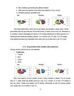 Referāts 'Cēsu Valsts ģimnāzijas izlaiduma klašu skolēnu laika plānošana', 21.