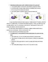 Referāts 'Cēsu Valsts ģimnāzijas izlaiduma klašu skolēnu laika plānošana', 25.