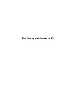 Referāts 'The History and the Role of EU', 1.