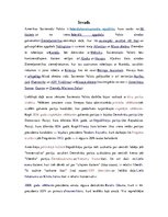 Referāts 'Politoloģija', 3.