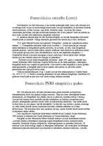 Referāts 'Fotomāksla 20.gs. Latvijā', 3.