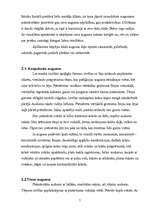 Referāts 'Figūru īpatnību daudzveidība', 7.