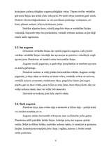 Referāts 'Figūru īpatnību daudzveidība', 8.