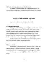 Referāts 'Figūru īpatnību daudzveidība', 10.