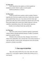 Referāts 'Figūru īpatnību daudzveidība', 14.