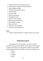 Referāts 'Figūru īpatnību daudzveidība', 26.