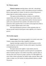 Referāts 'Figūru īpatnību daudzveidība', 27.