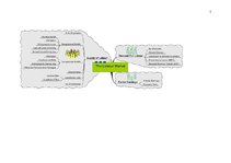 Konspekts 'Darba tirgus', 5.