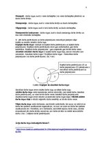 Konspekts 'Darba tirgus', 8.