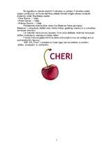 Biznesa plāns 'SIA "Cheri"', 5.