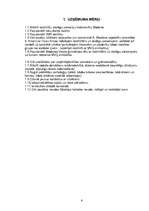 Biznesa plāns 'SIA "Cheri"', 6.