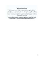 Referāts 'Viduslaiku bruņinieki, mūki, zemnieki', 5.