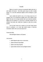 Referāts 'Senās Ēģiptes arhitektūra', 3.