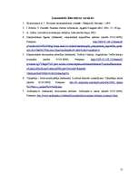 Referāts 'Pasaules saimniecības teorijas', 15.