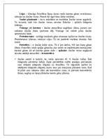 Referāts 'Saule', 3.