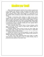 Referāts 'Saule', 4.