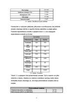 Referāts 'Viesnīcas "Jūrnieka tīkls" projekts', 5.