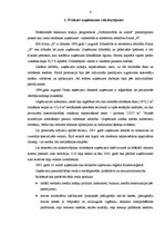 Prakses atskaite 'Grāmatvedība', 4.