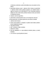 Prakses atskaite 'Grāmatvedība', 13.