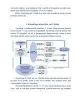 Referāts 'Industriālās ekosistēmas', 7.