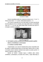 Referāts 'Ātri bojājošos kravu pārvadājumi', 20.