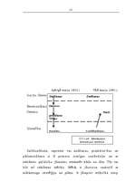 Referāts 'Reklāmas kampaņa', 11.