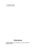 Referāts 'Vienkāršie mehānismi sadzīvē', 8.