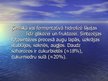 Prezentācija 'Saharoze', 4.