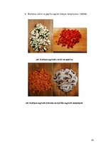 Prezentācija 'Ēdienkarte specializētajam uzturam', 24.