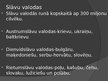 Prezentācija 'Slāvu kultūra', 3.