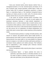 Referāts 'Darījuma nostiprināšana zemesgrāmatā', 13.