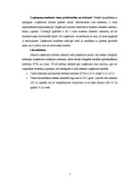 Biznesa plāns 'SIA "Copy Paste"', 5.