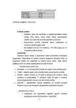 Biznesa plāns 'SIA "Copy Paste"', 8.