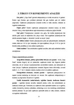 Biznesa plāns 'SIA "Copy Paste"', 10.