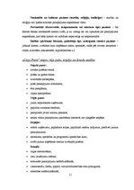 Biznesa plāns 'SIA "Copy Paste"', 11.