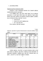 Biznesa plāns 'SIA "Copy Paste"', 12.