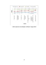 Biznesa plāns 'SIA "Copy Paste"', 14.