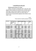 Biznesa plāns 'SIA "Copy Paste"', 17.