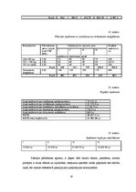 Biznesa plāns 'SIA "Copy Paste"', 19.