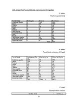 Biznesa plāns 'SIA "Copy Paste"', 20.